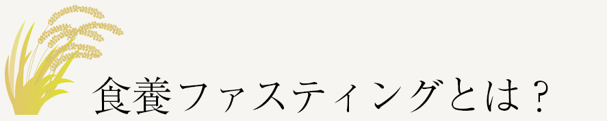 食養ファスティング