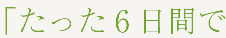「たった6日間で